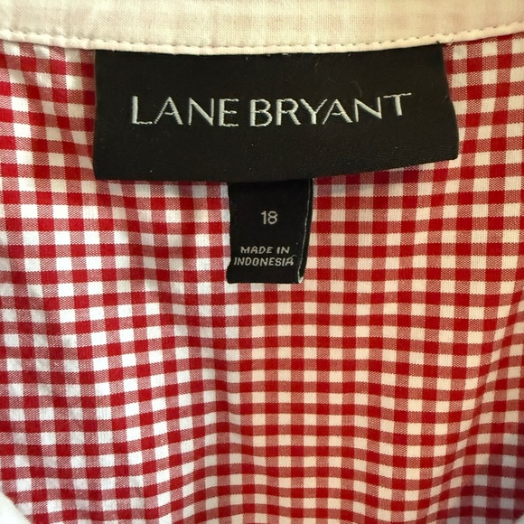Lane Bryant Blue and Pink Checkered Shirt, Size 18 - Picture 4 of 5